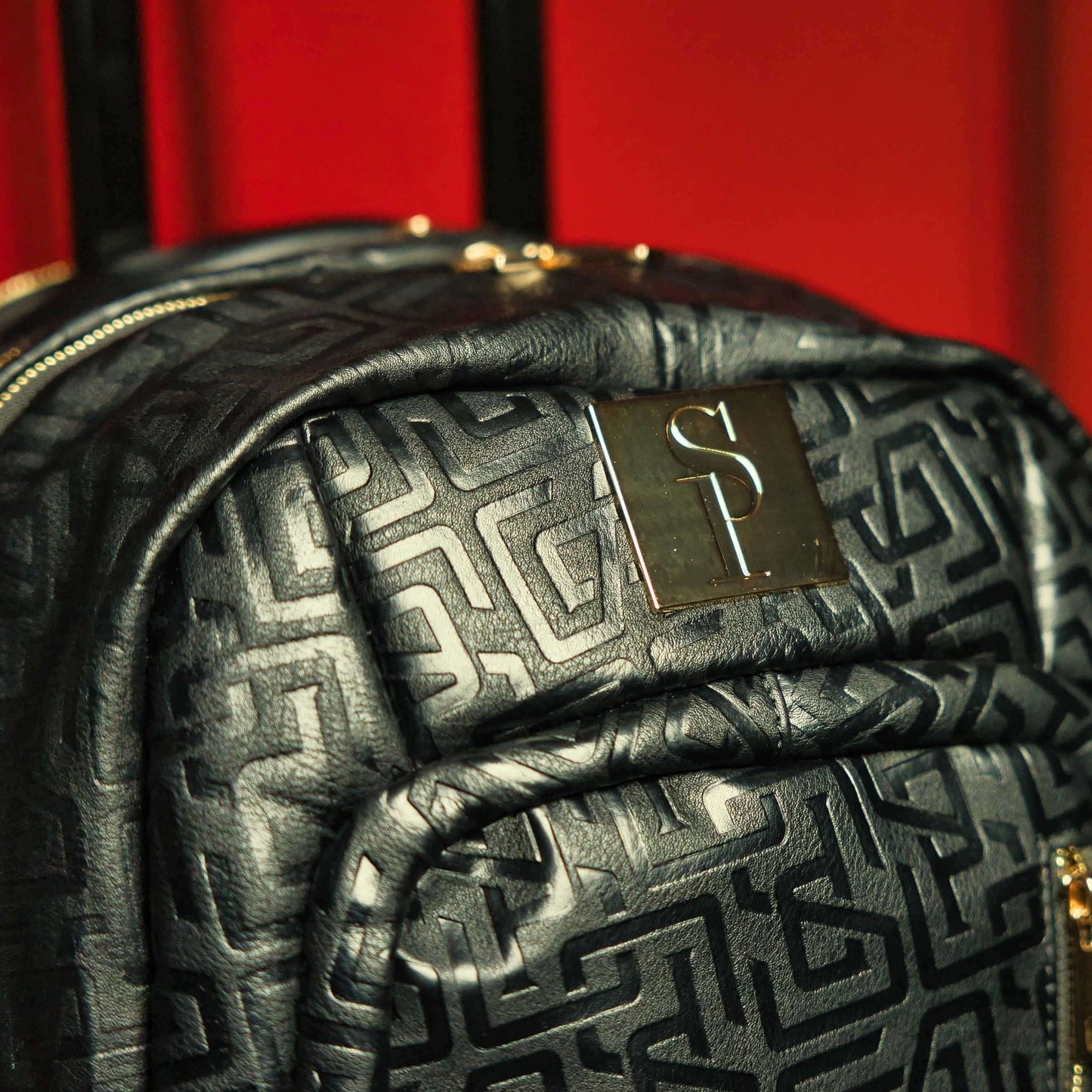 Sole Premise Black Monogram Leather Carry-On Shoe Bag