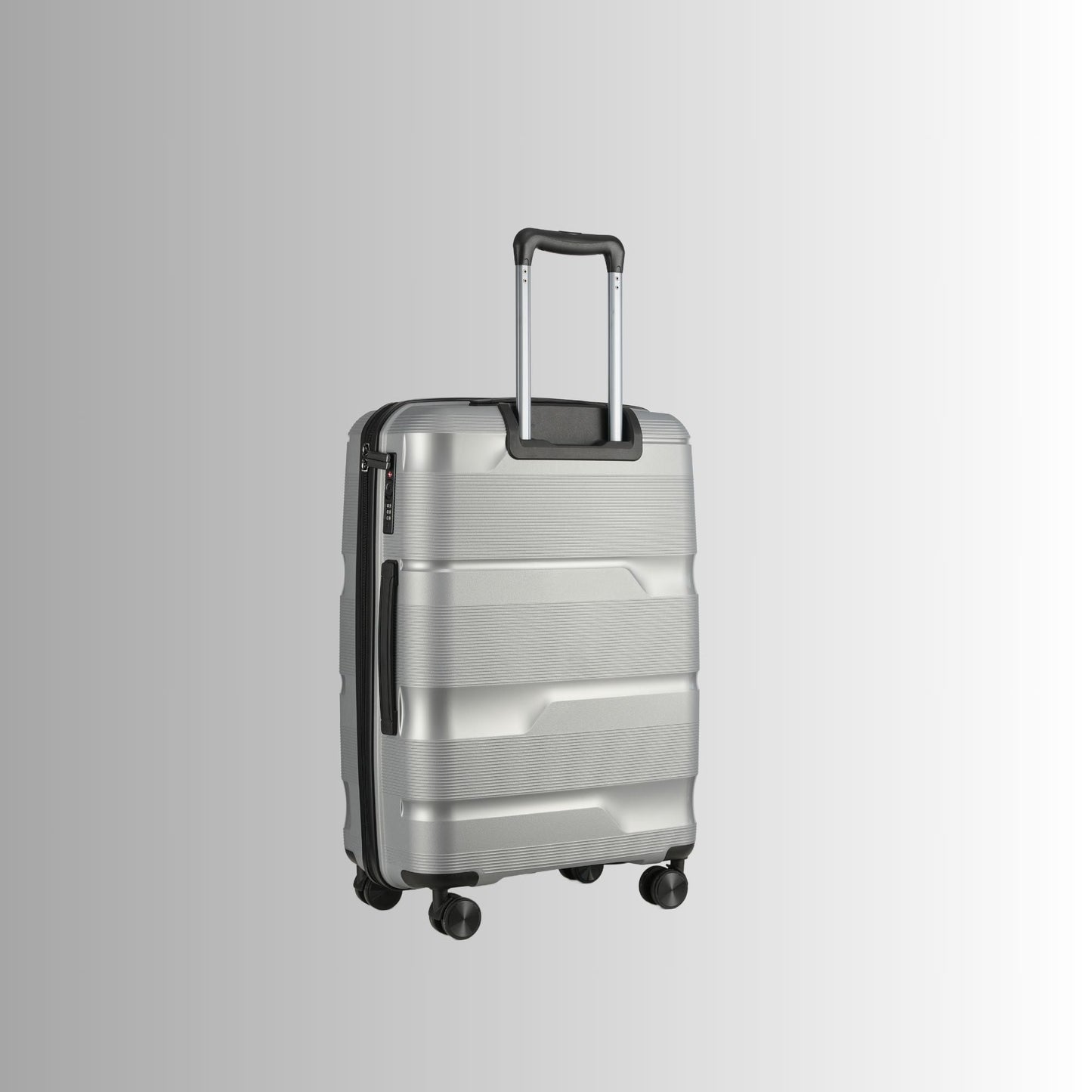 Sole Premise 24-inch Silver Hardcase Checked Luggage