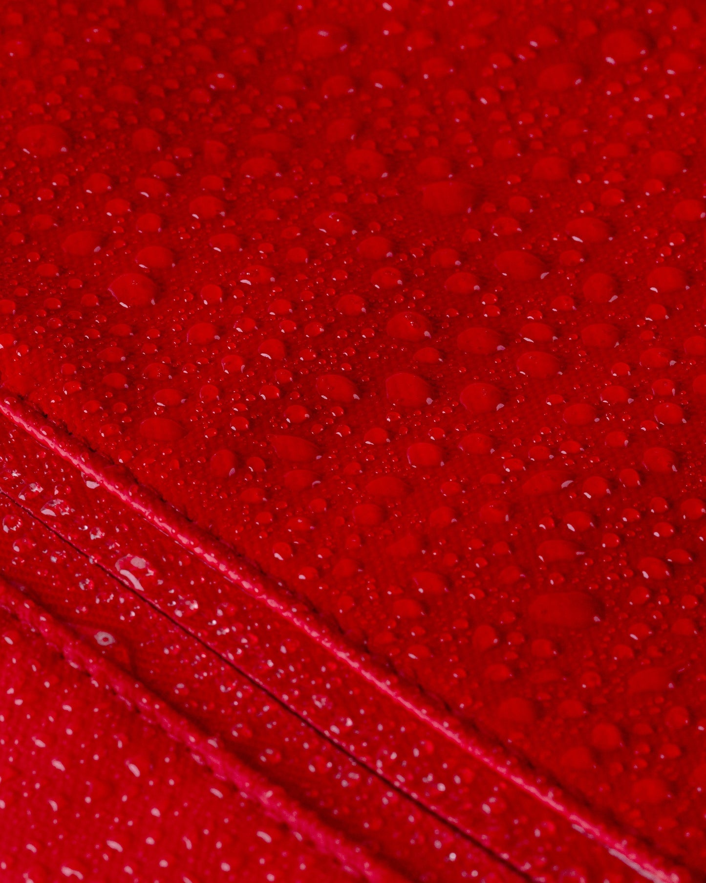 Portland Gear Cascade Weatherproof Backpack 21L