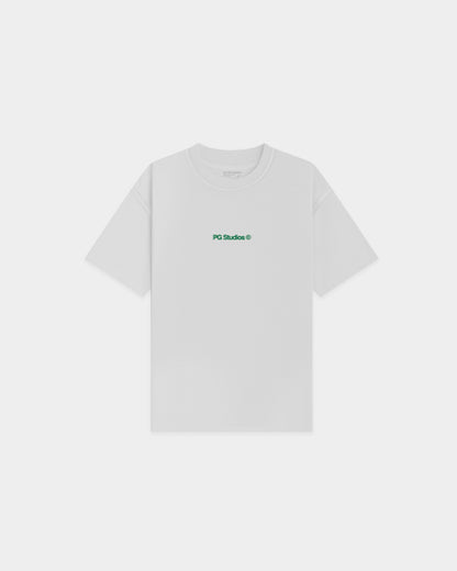 PGS_IO 001