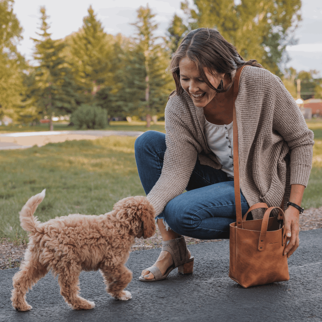 Range Leather Rainier Mini Crossbody Tote